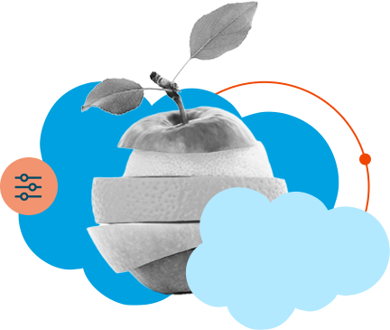 Pro Salesforce Header